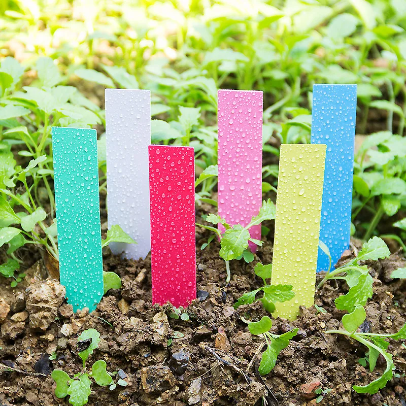 Garden Label Marker - 100pcs Thick 4inch Plant Labels Reusable