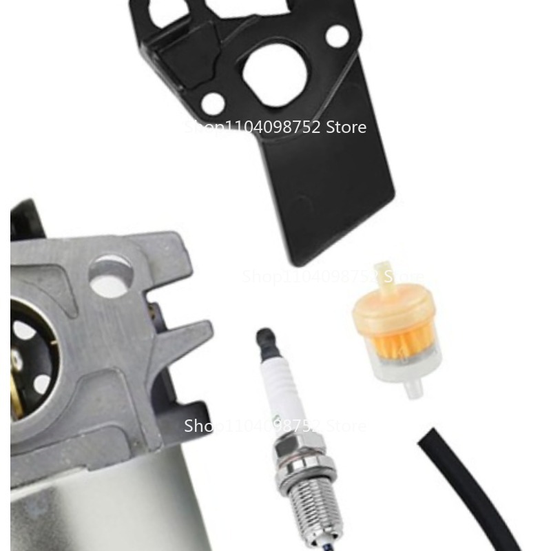 Gardening Tools B&M - Carburetor Kit for B&S 596080 595651