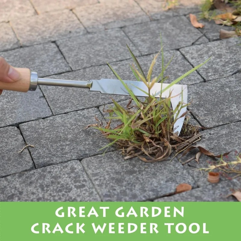 Stainless Steel Gap Weeding To - Gardening Tools Used For Weeding review and price