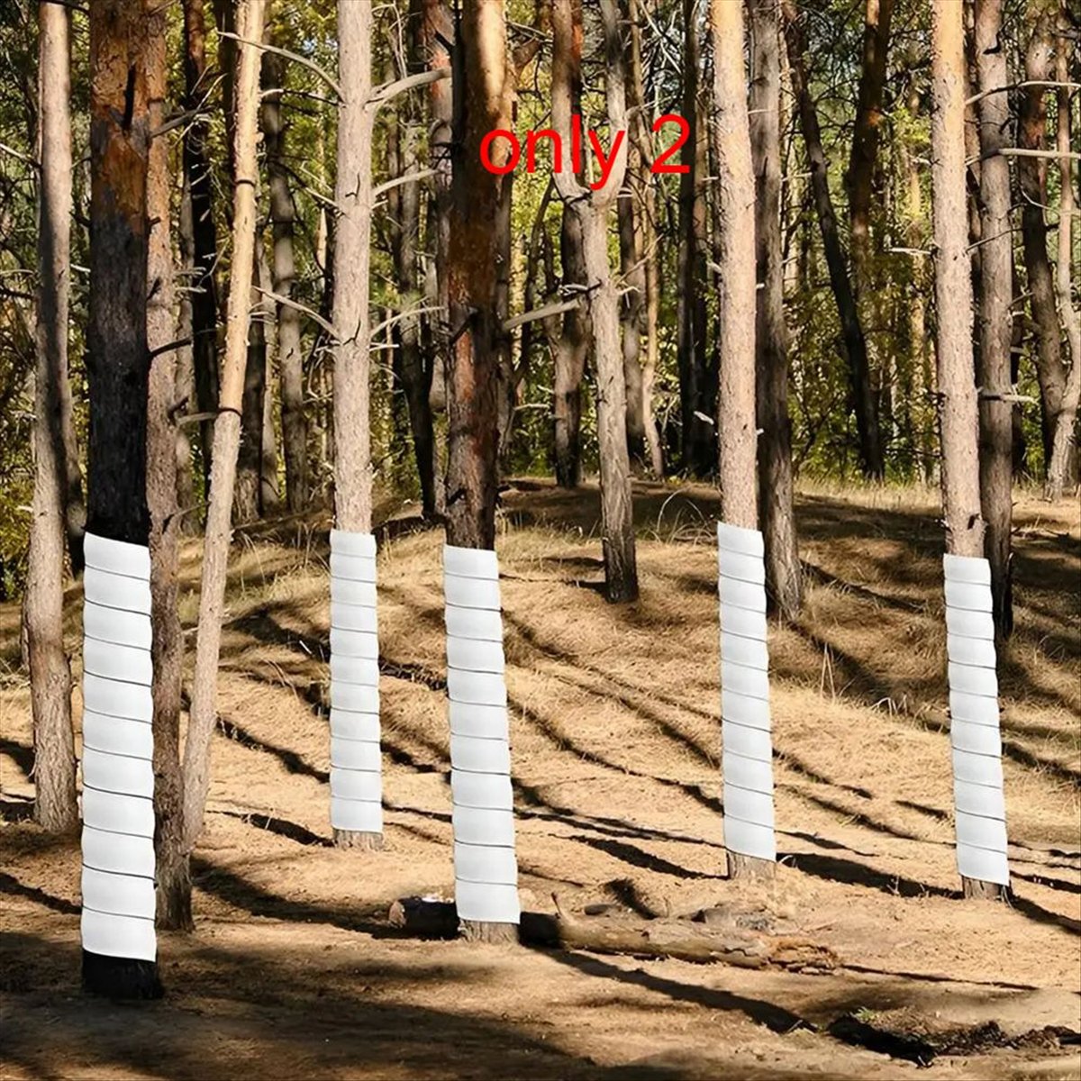 A75K Plant Tree Trunk Protecto - Gardening Tools B&M review and price