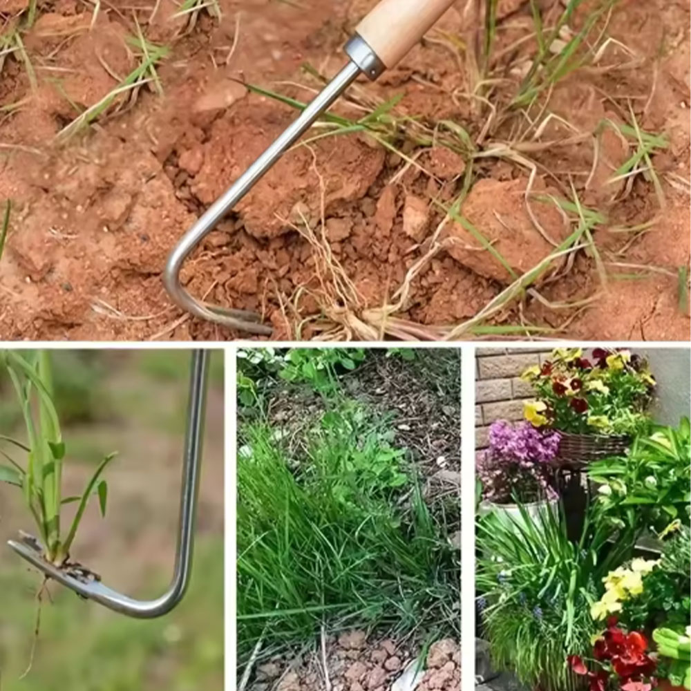Stainless Steel Gap Weeding To - Gardening Tools Used For Weeding review and price