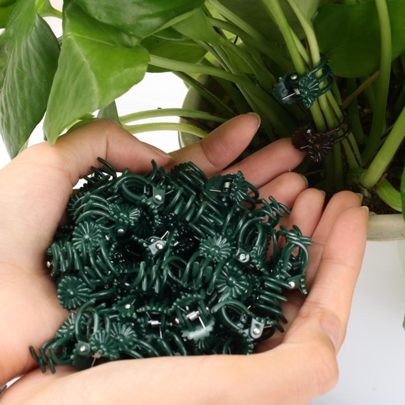 Wholesale Mini Plant Support C - Gardening Tools Store review and price