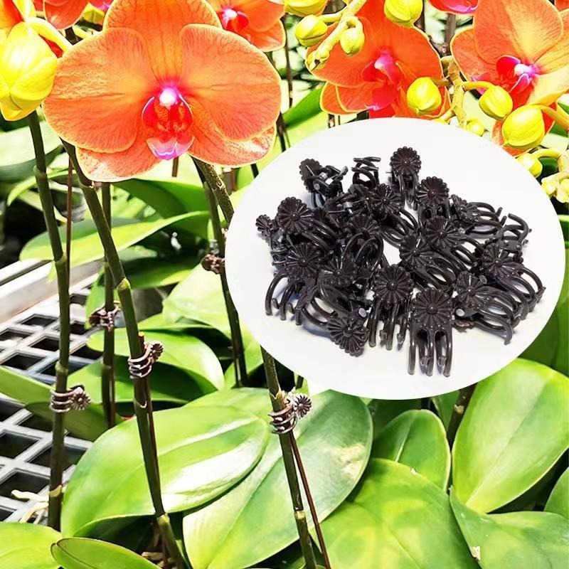 Wholesale Mini Plant Support C - Gardening Tools Store review and price