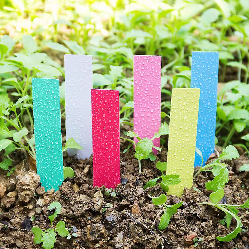 100Pcs Garden Plant Labels Pla - Garden Label Marker review and price