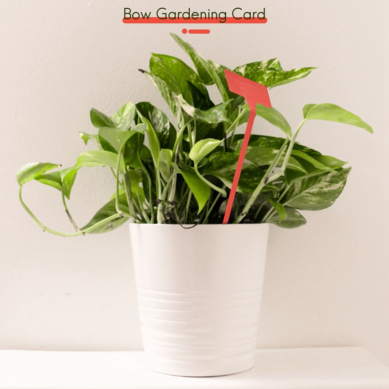 ABYP Gardens Planting Tools 50 - Garden Label Marker review and price
