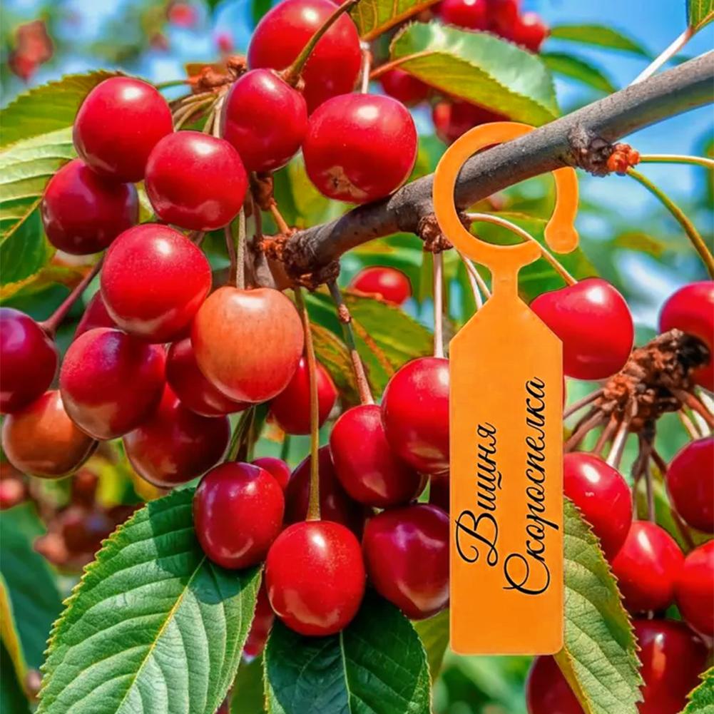Garden Planting Tag Ring Hook  - Garden Label Marker review and price