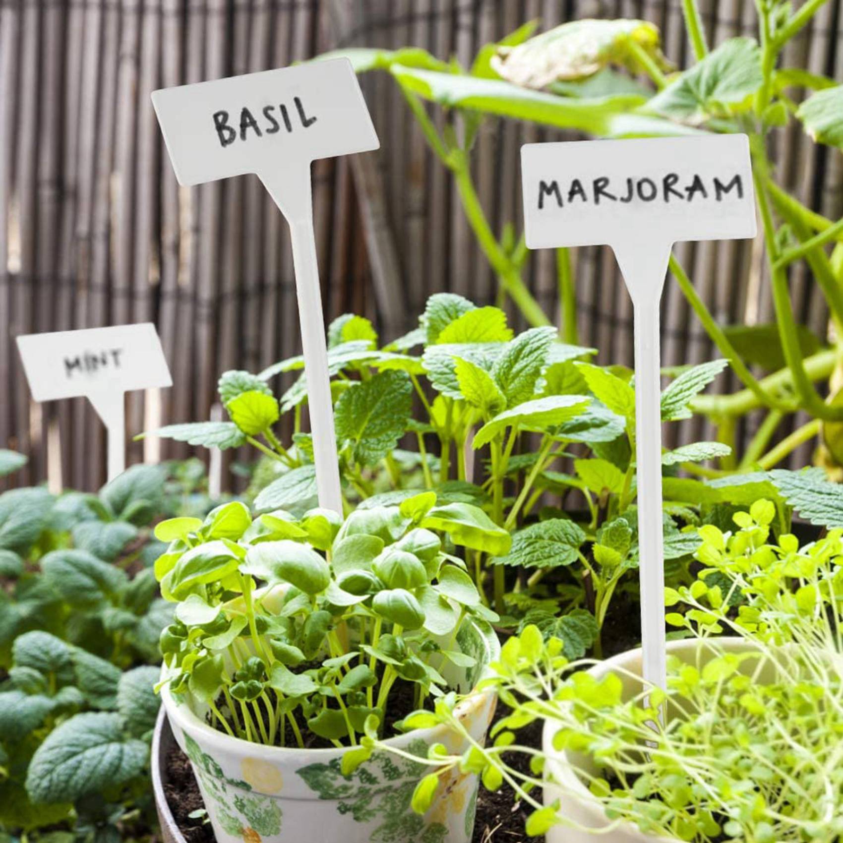 VEHO-80Pcs Outdoor Plant Label - Garden Label Marker review and price