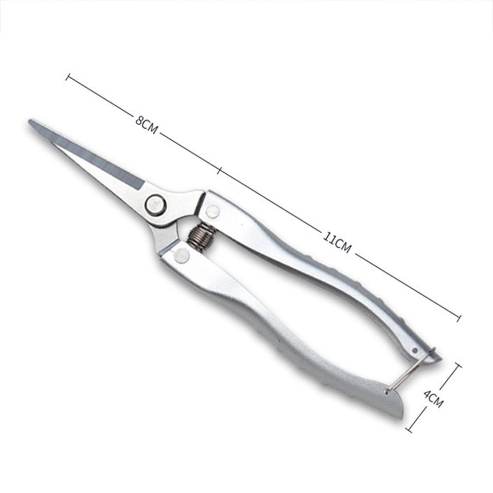 Professional Grade Stainless S - Gardening Tools To Cut Branches review and price