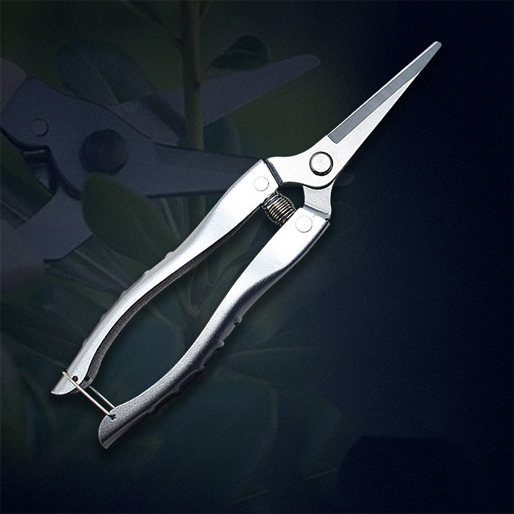 Professional Grade Stainless S - Gardening Tools To Cut Branches review and price