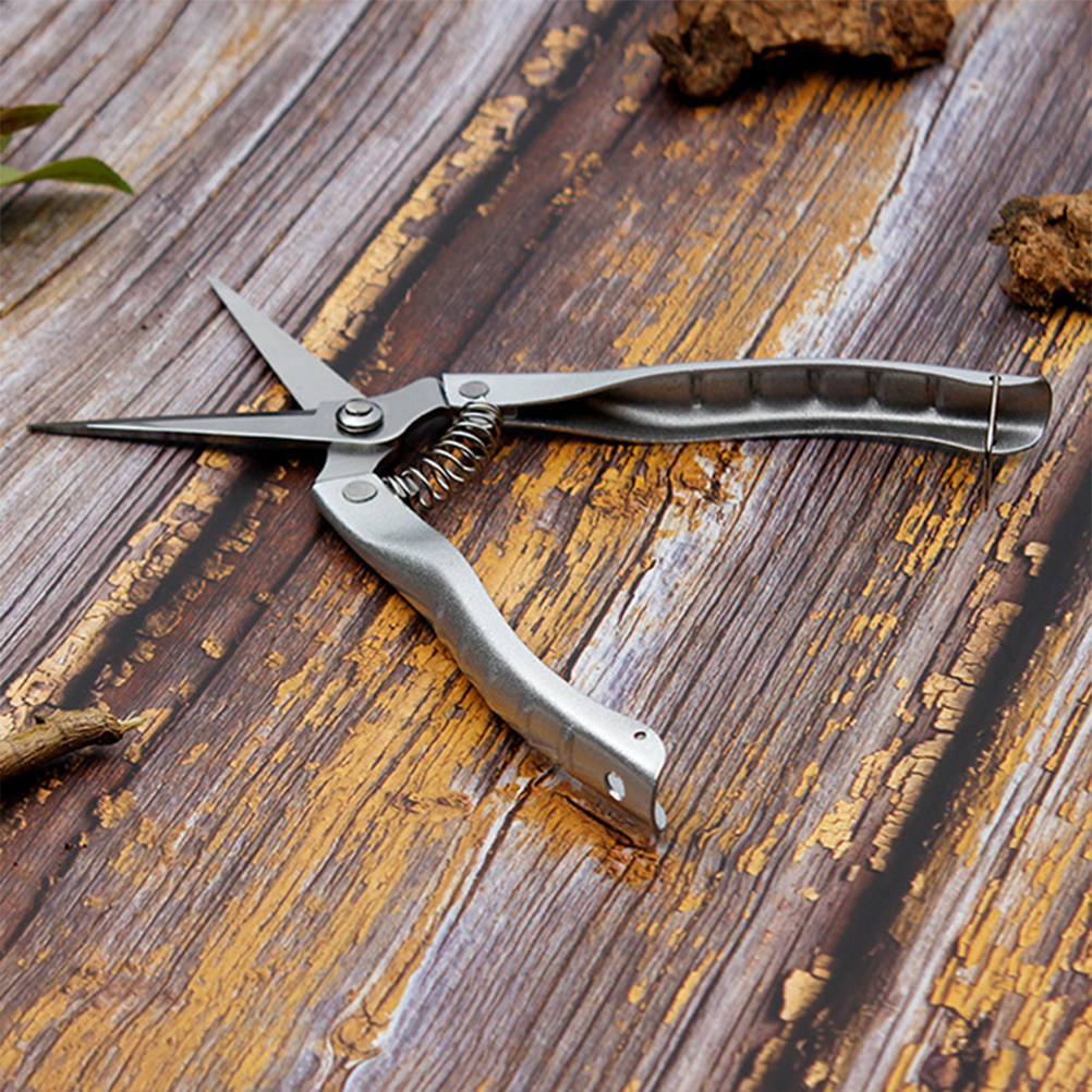 Professional Grade Stainless S - Gardening Tools To Cut Branches review and price