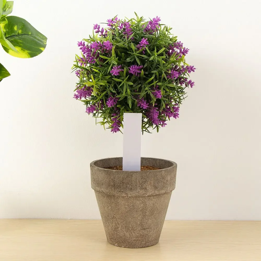 100Pcs Reusable Classification - Garden Label Marker review and price