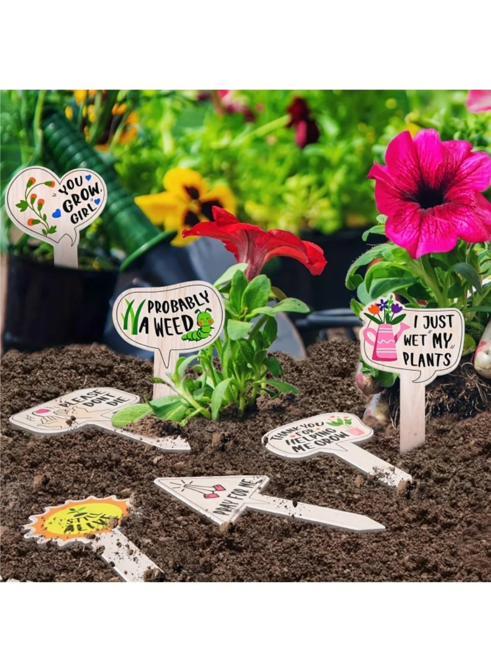5/10Pcs Plant Labels for Succu - Garden Label Marker review and price