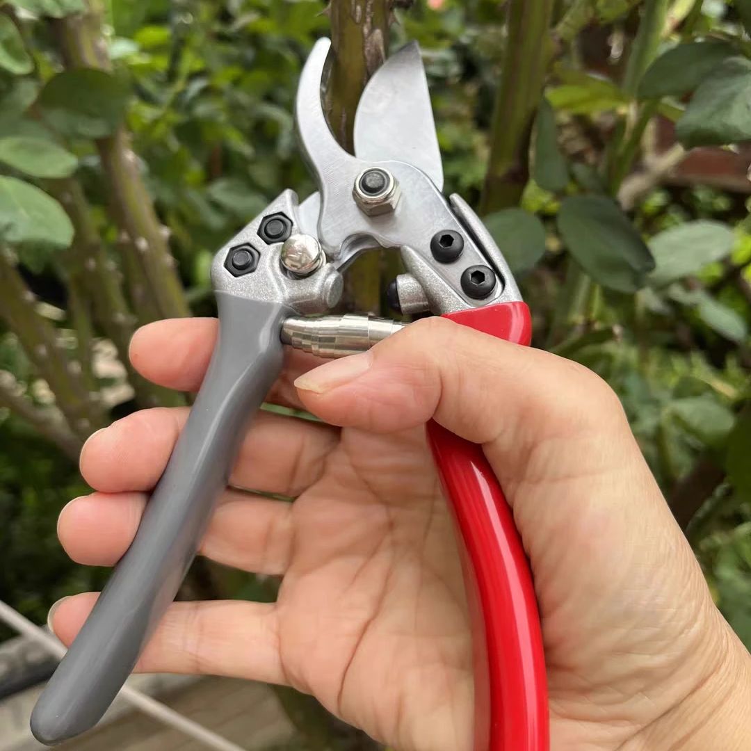 Japan Vvt New Sk5 Strong Garde - Gardening Tools Japan review and price
