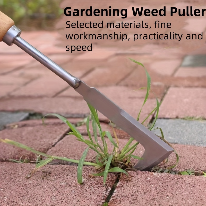 Stainless Steel Gap Weeding To - Gardening Tools Used For Weeding review and price